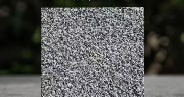 临沧 芝麻黑荔枝面