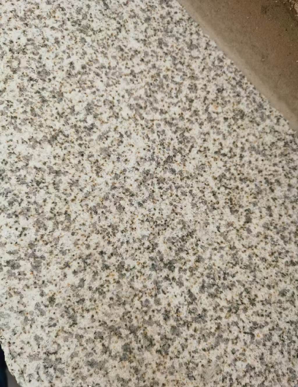 临沧 黄金麻中黄光面